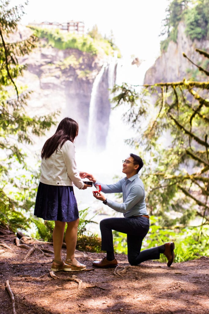 Surprise proposal video